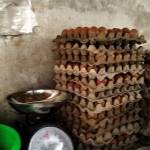 barokah jaya nanda
