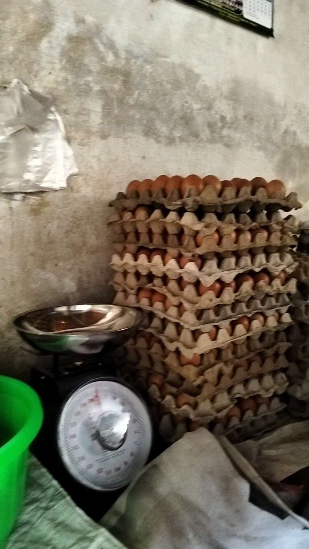 barokah jaya nanda