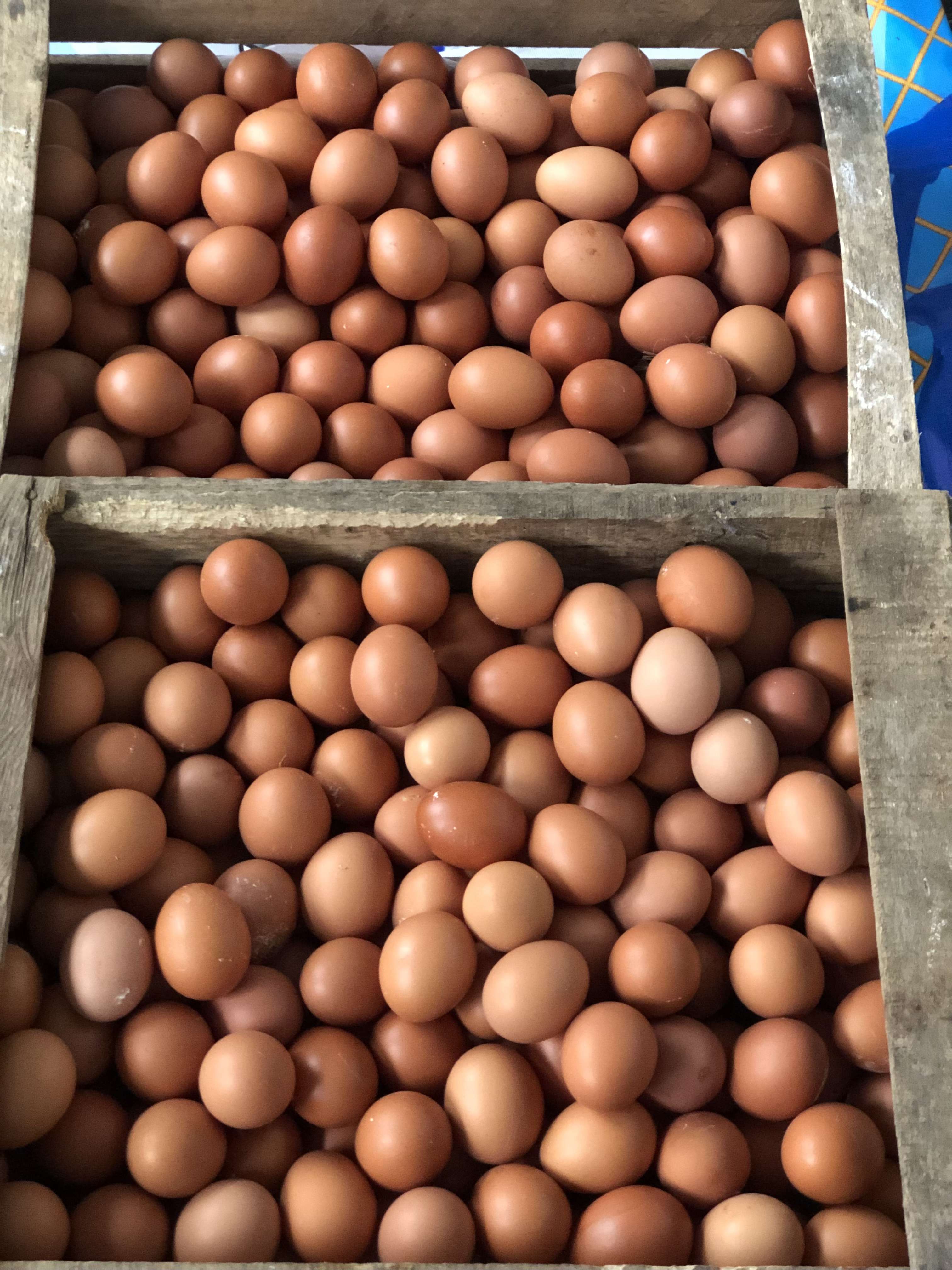 Telur Empuk