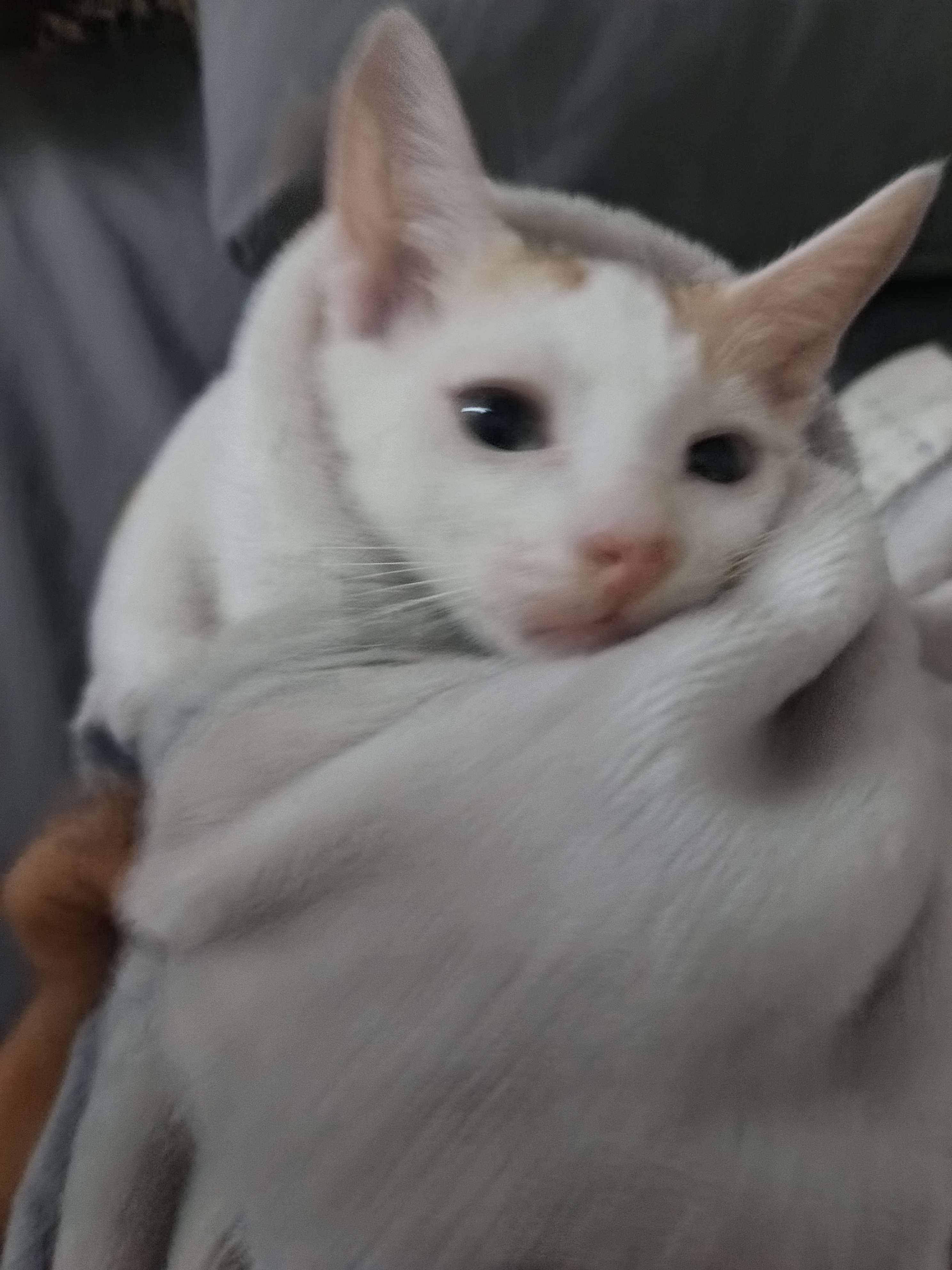 Ajuyyy