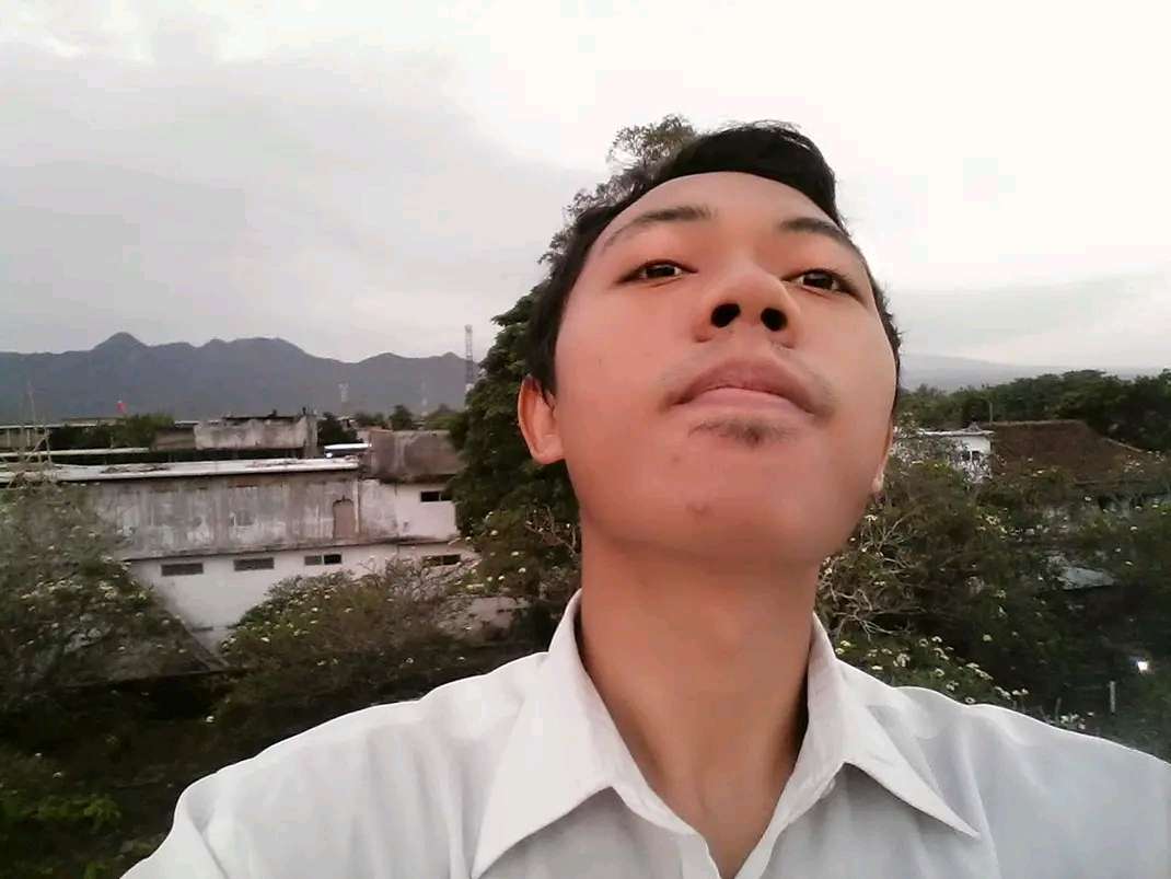 Elhadiq Ali