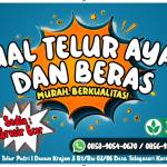 Agen Telur Putri