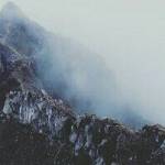 Peternak 68219