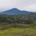 Apipudin