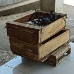Tegalrejo Magelang Marzuki