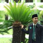 Syaiful ach