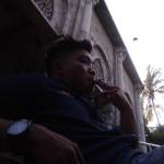 Dolpin D