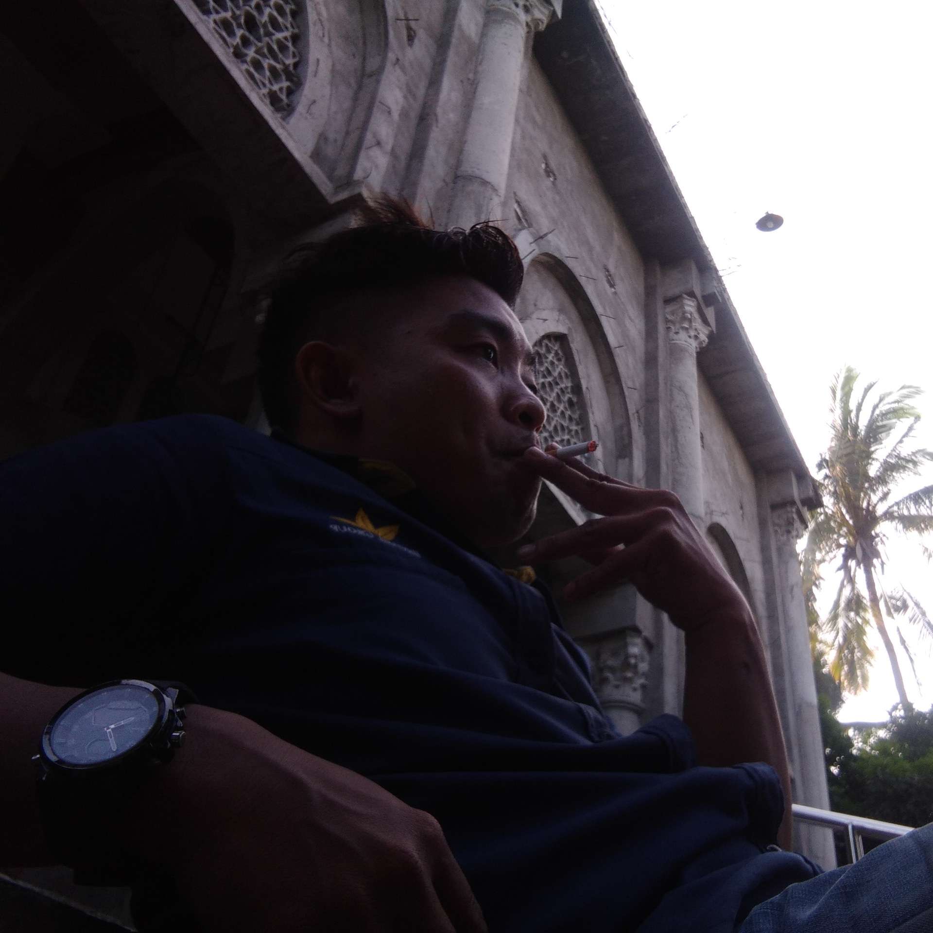 Dolpin D