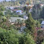 ardi Arsa