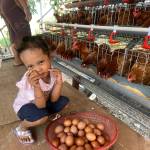 Bagus2207