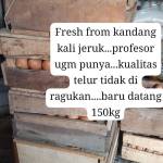 Dedes Nahda Rafanda Sulistyowati