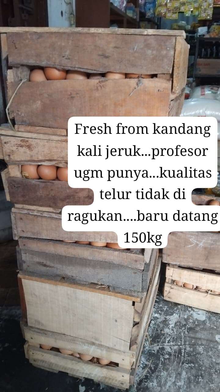 Dedes Nahda Rafanda Sulistyowati