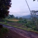 ENDANG RAHAYU