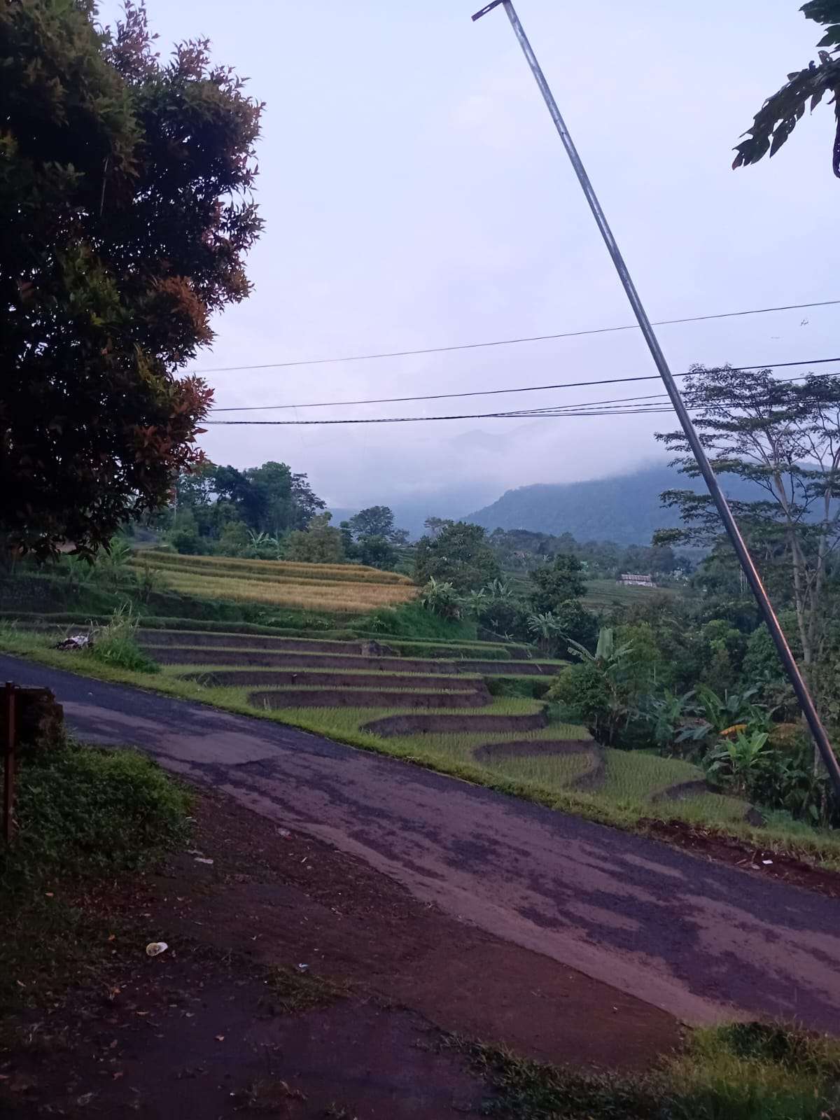 ENDANG RAHAYU