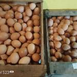 Zahra Mart Zahra
