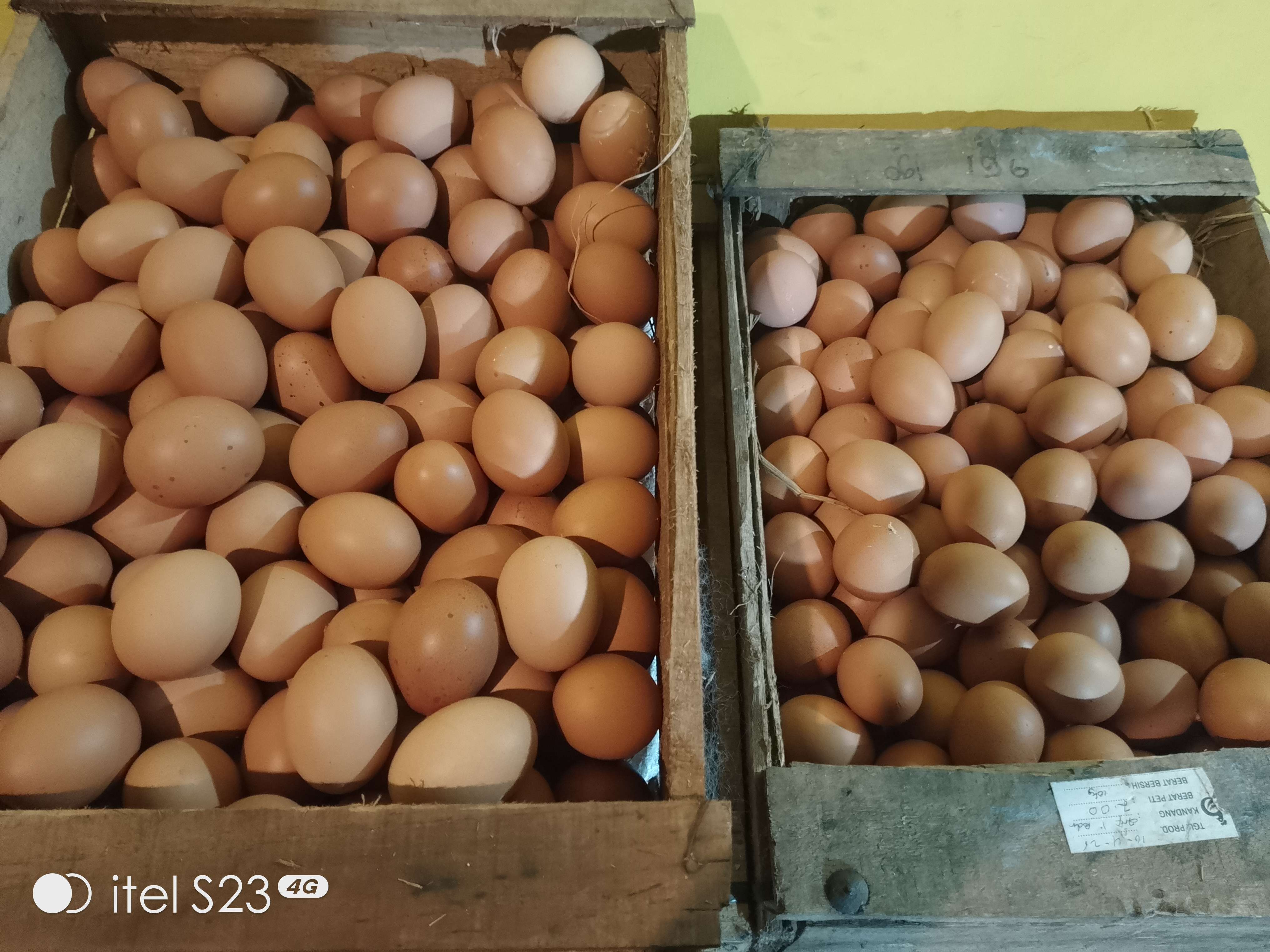 Zahra Mart Zahra