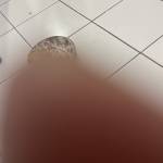 Khoirun Nisa Nisa