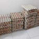 Puji