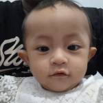 Rofiqi Ainur