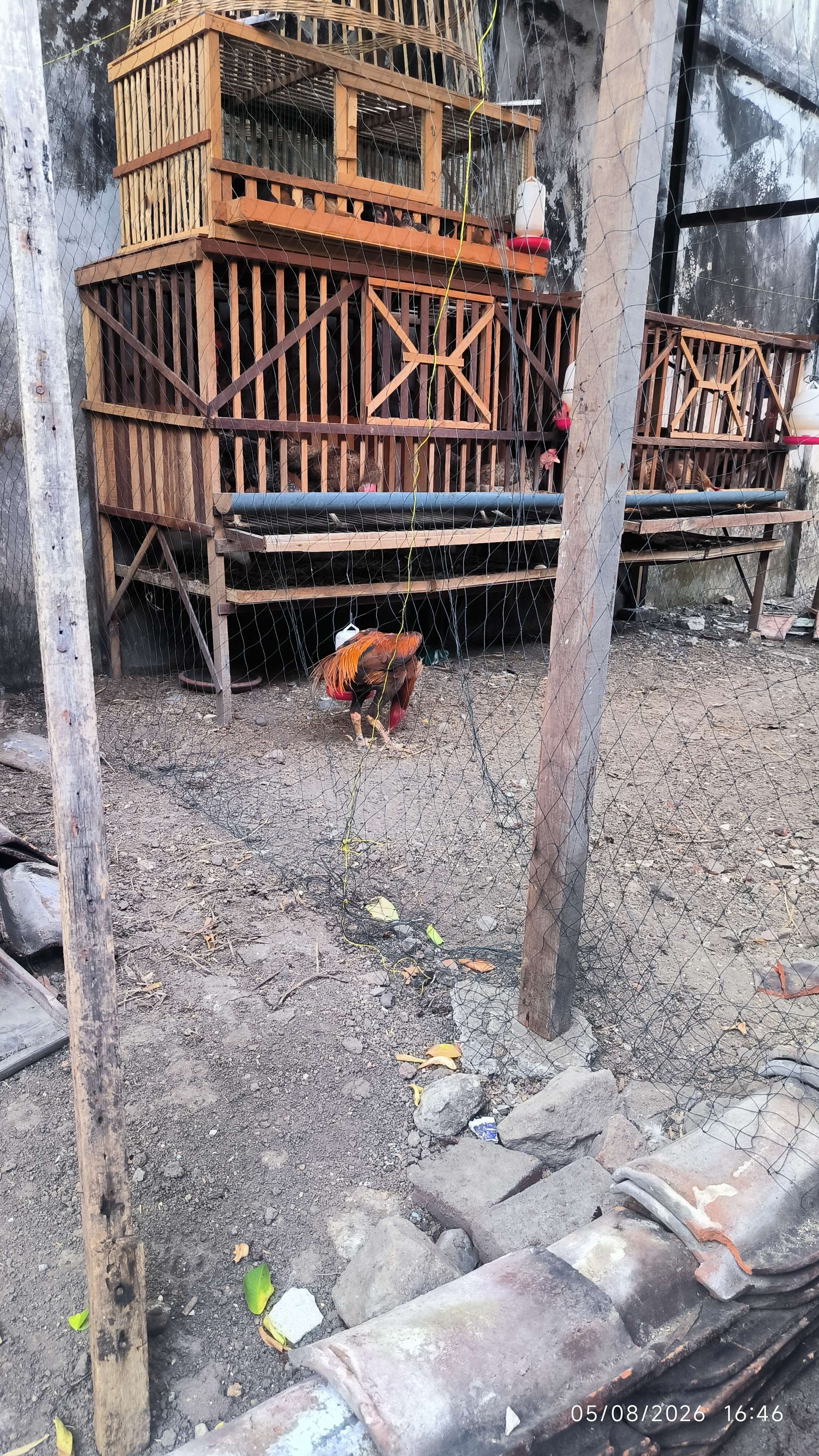 Dicky Supangat