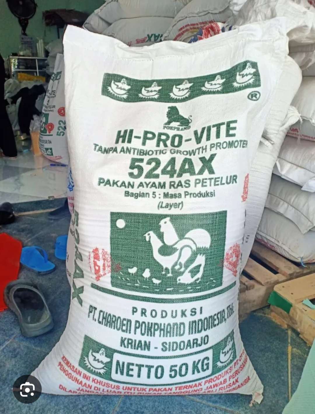 Andika Budi Supriatna