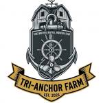 Dayat TriAnchor