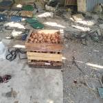 Aman Sajja