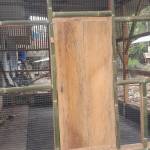 Elfarm Ewin