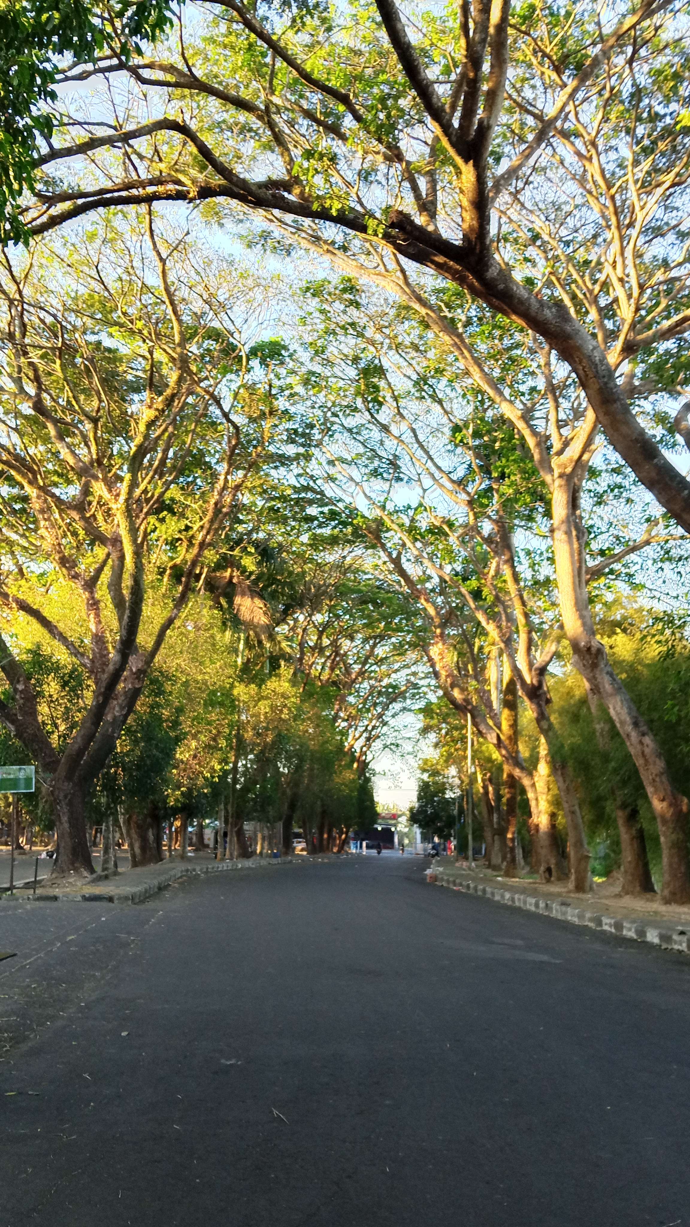 Tantri