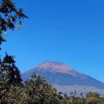 Dwi Alto