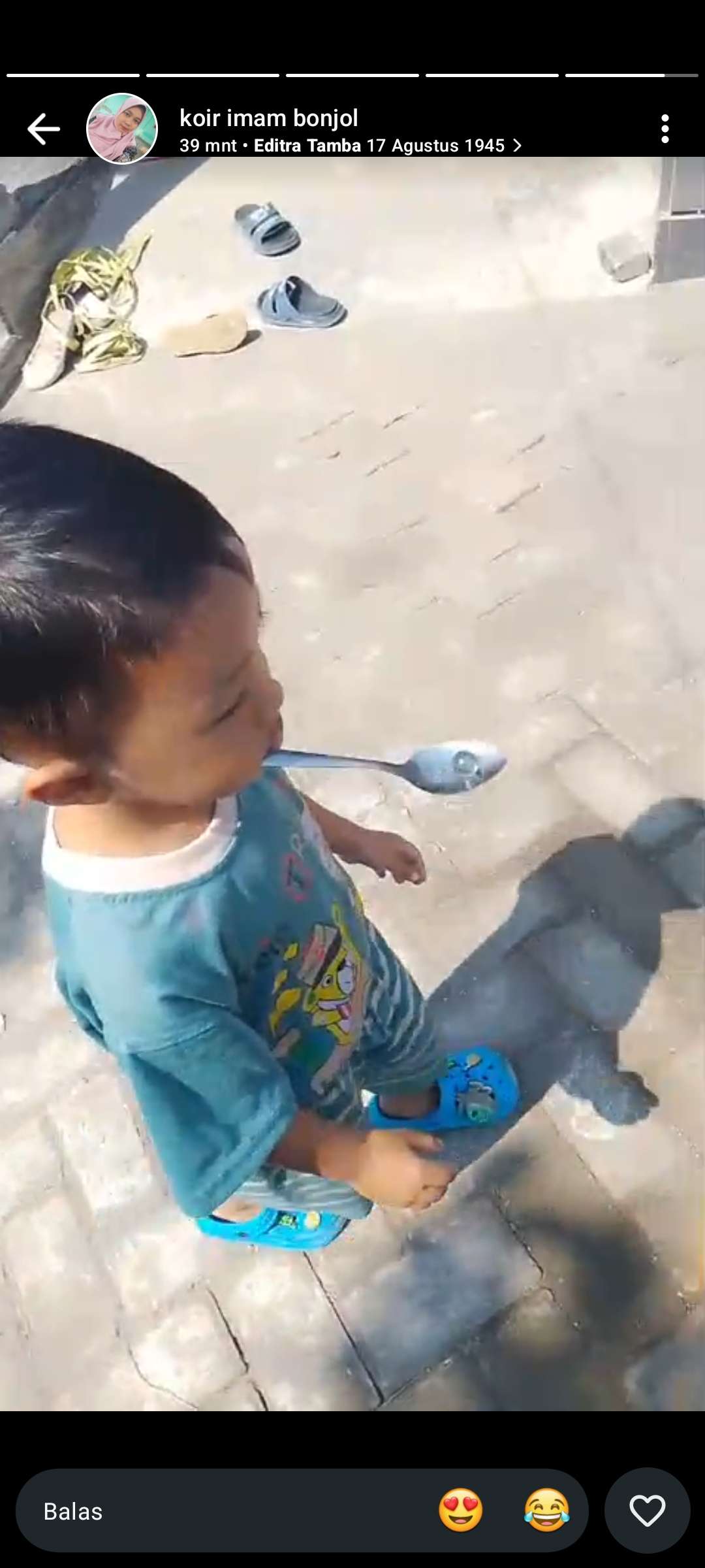 pakde side
