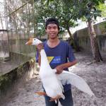 Alifrchma Putra unggas mandiri