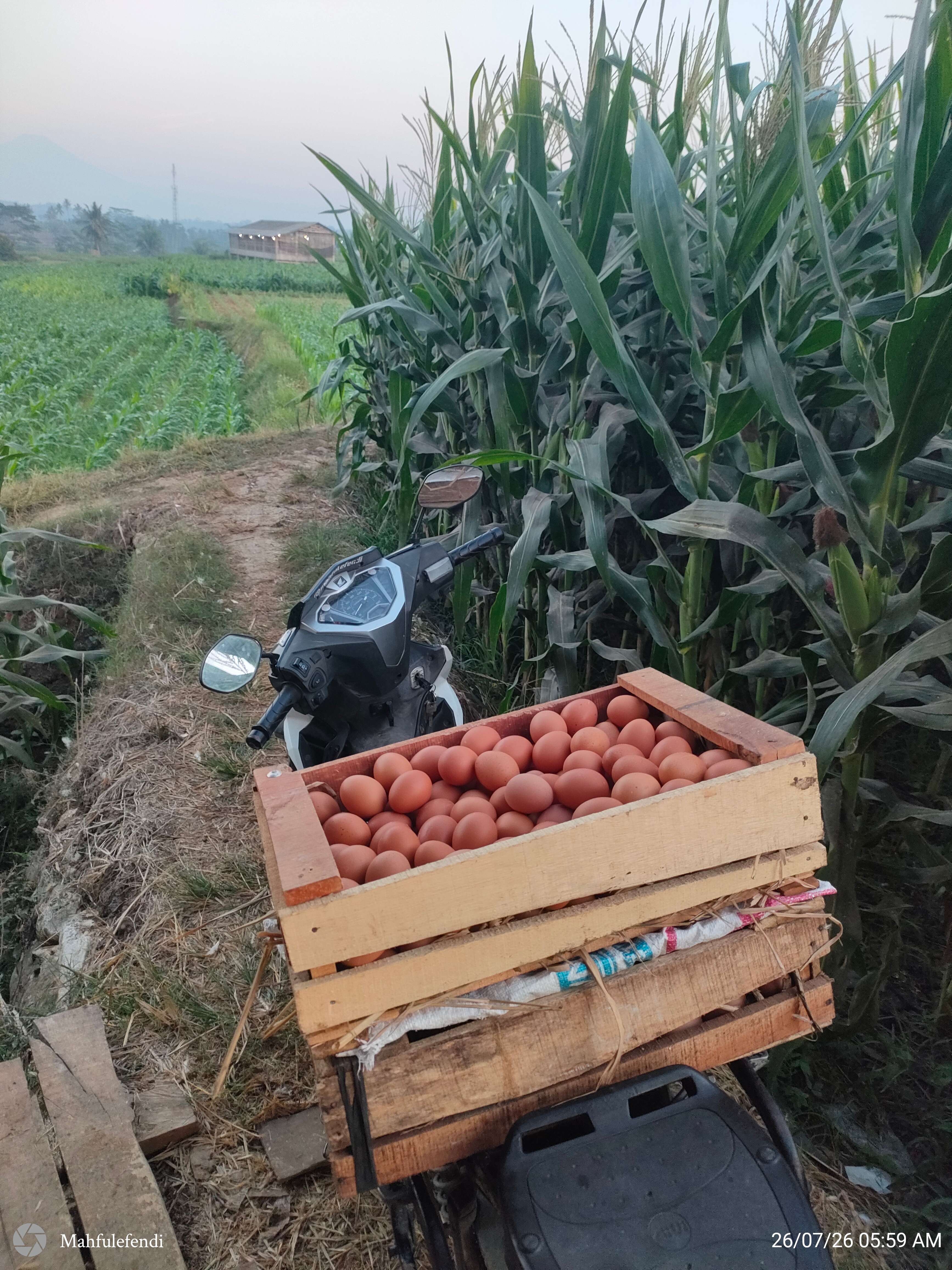 Desakumakmur Kutawuluh