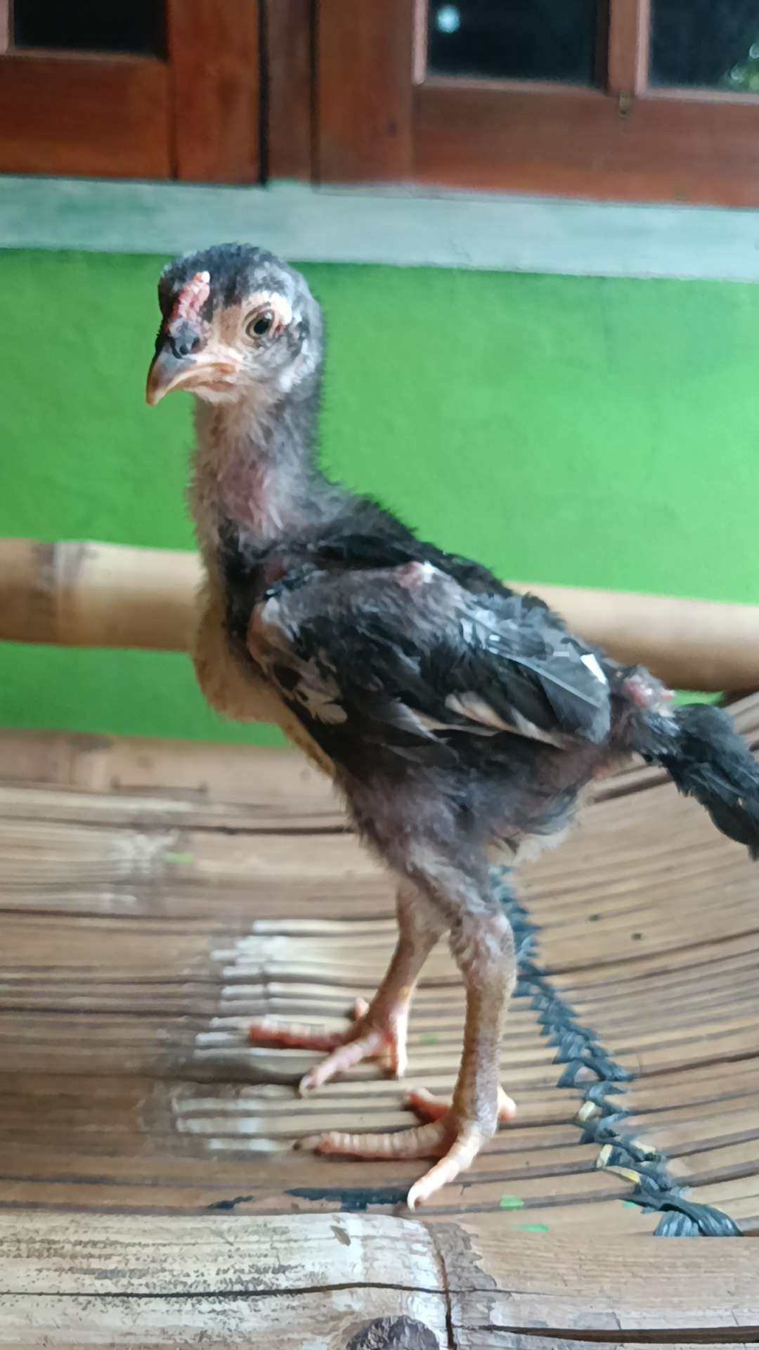 Heriprasetyo Diyah