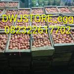 Dwjonlineshope