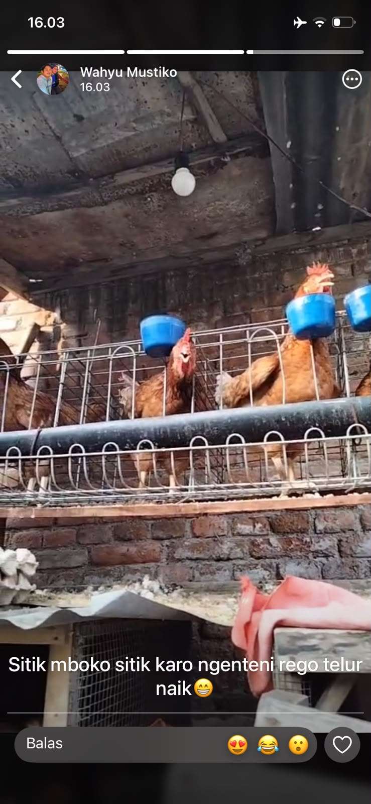 RAS FARM